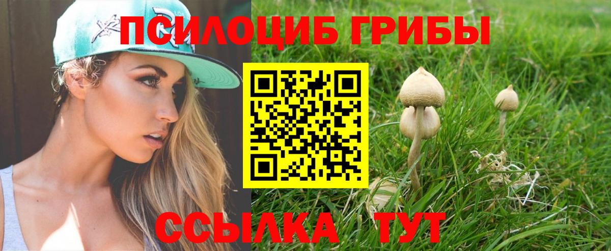 Псилоцибиновые грибы мухоморы  Галлюциногенные грибы Psilocybe  Курчатов  Вход с VPN 