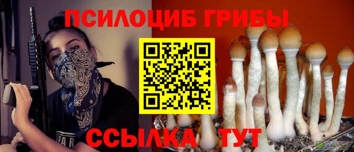 Псилоцибиновые грибы GOLDEN TEACHER Курчатов