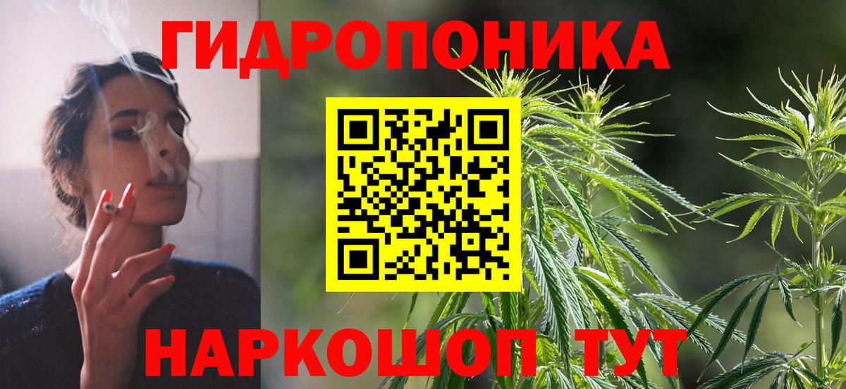 Каннабис OG Kush Курчатов